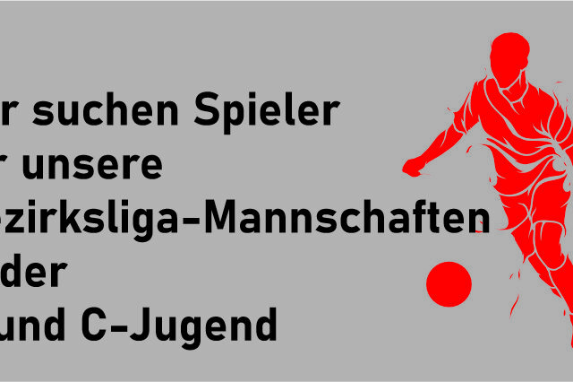 https://jsg-siegtal-heller.de/wp-content/uploads/2022/11/B-C-Jugend-Spieler-640x426.jpg